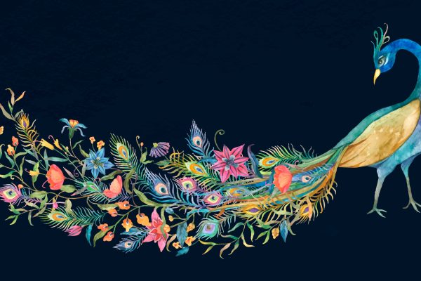 Beautiful watercolor blue peacock vector